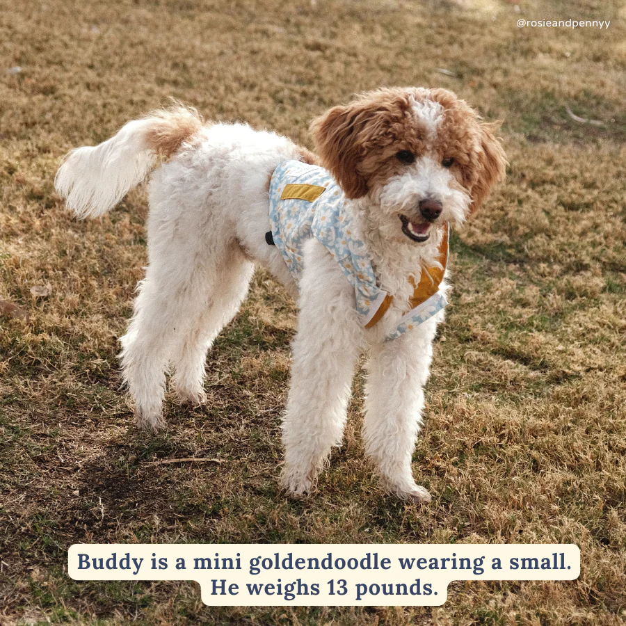 Simply Splendid Reversible Raincoat - Image 6