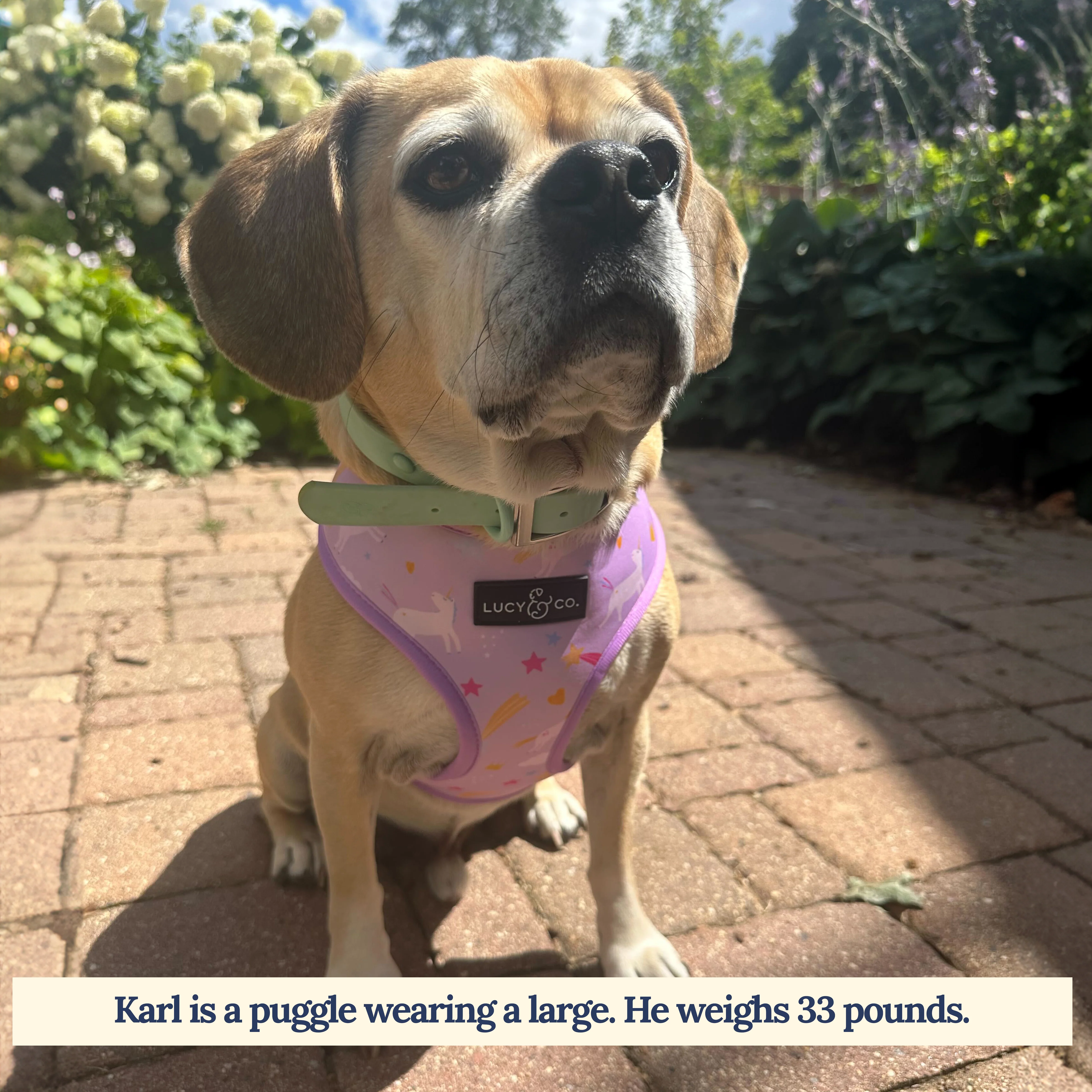Making Magic Reversible Harness - Image 3