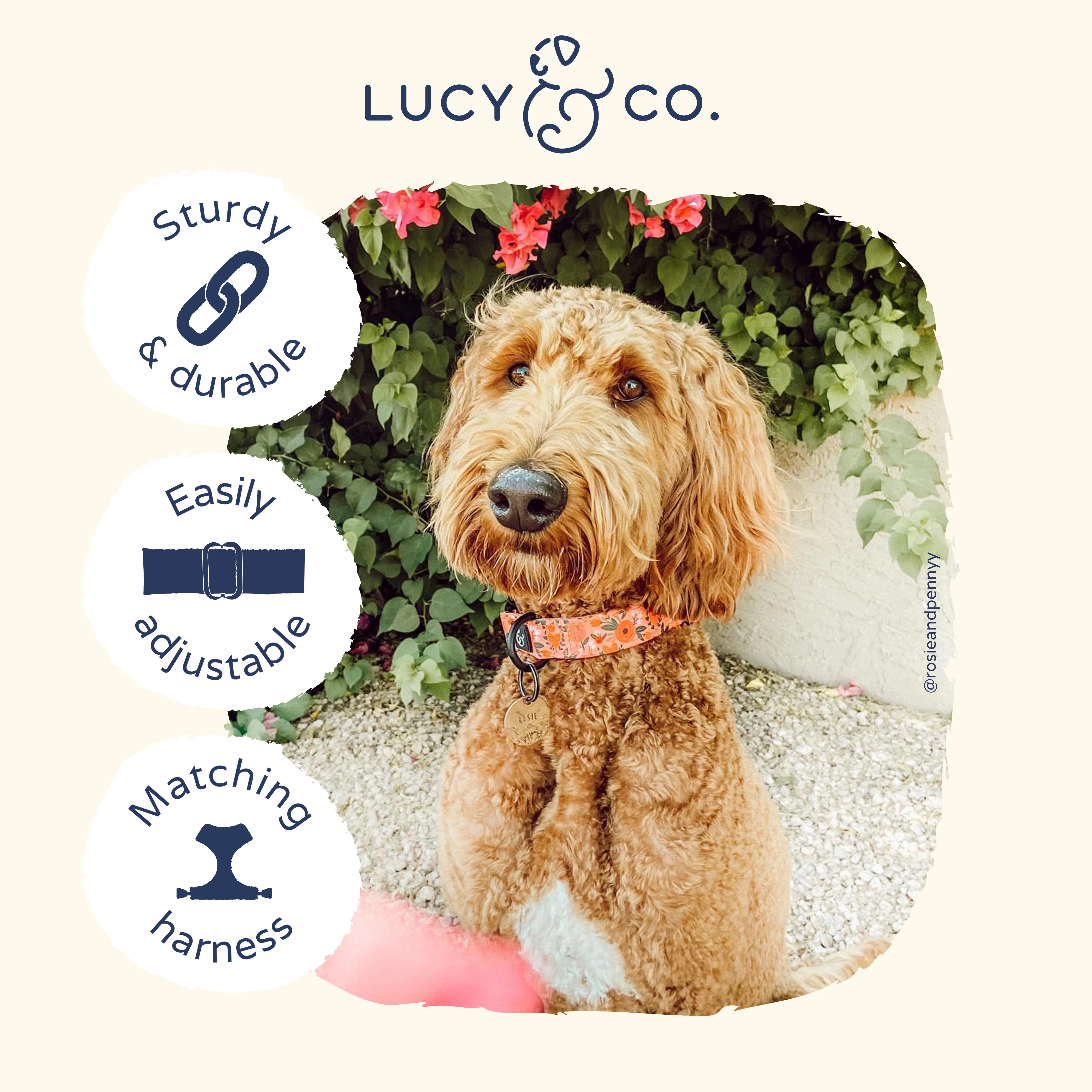 Posy Pink Collar - Image 4