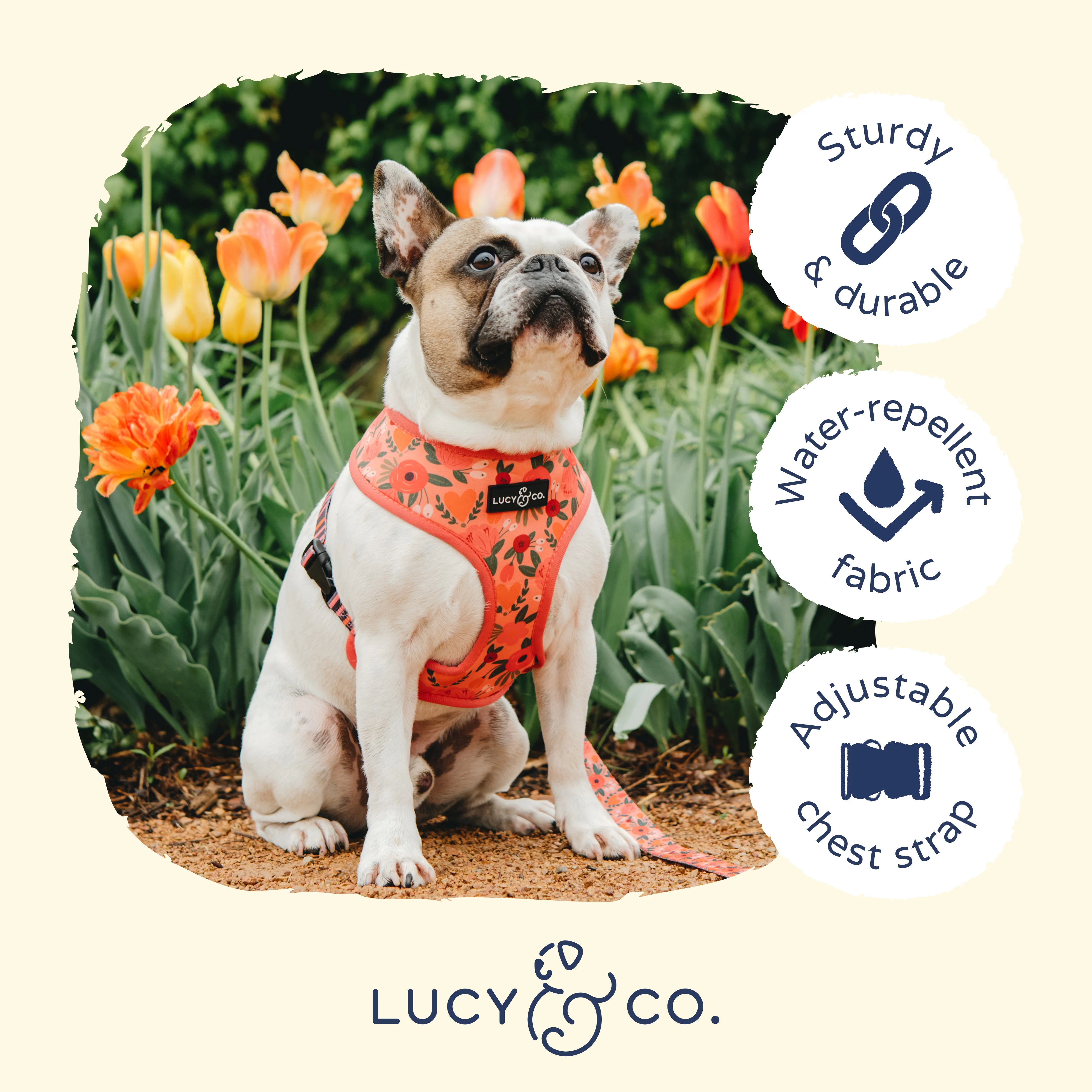 Posy Pink Reversible Harness - Image 7