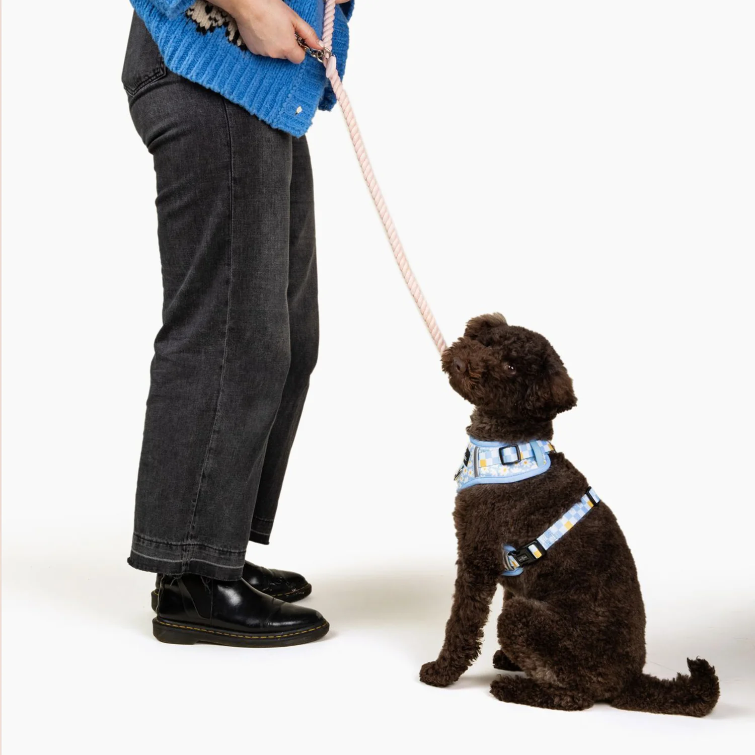 Rosewater Hands-Free Rope Leash - Image 10