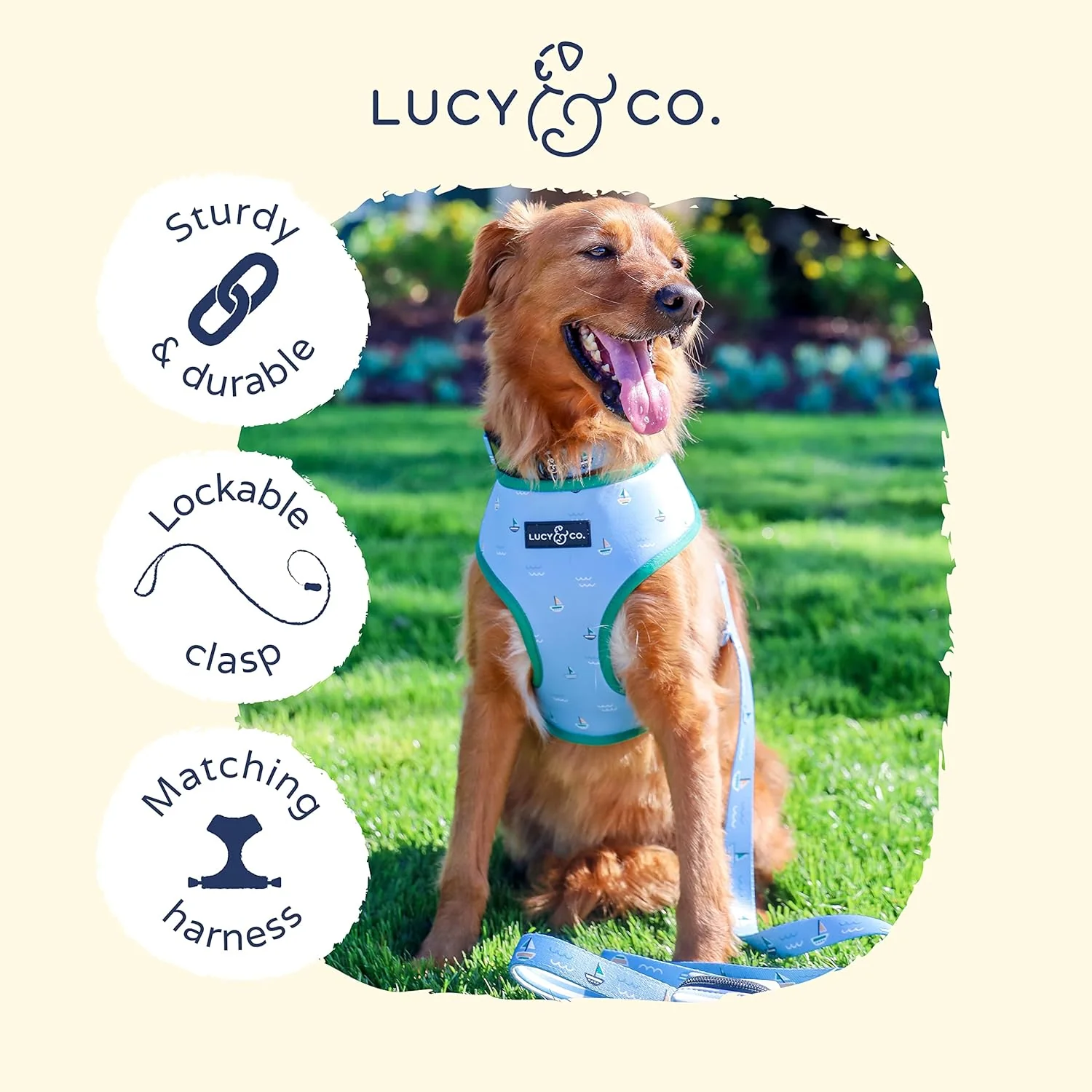 Set Sail Leash - Image 4
