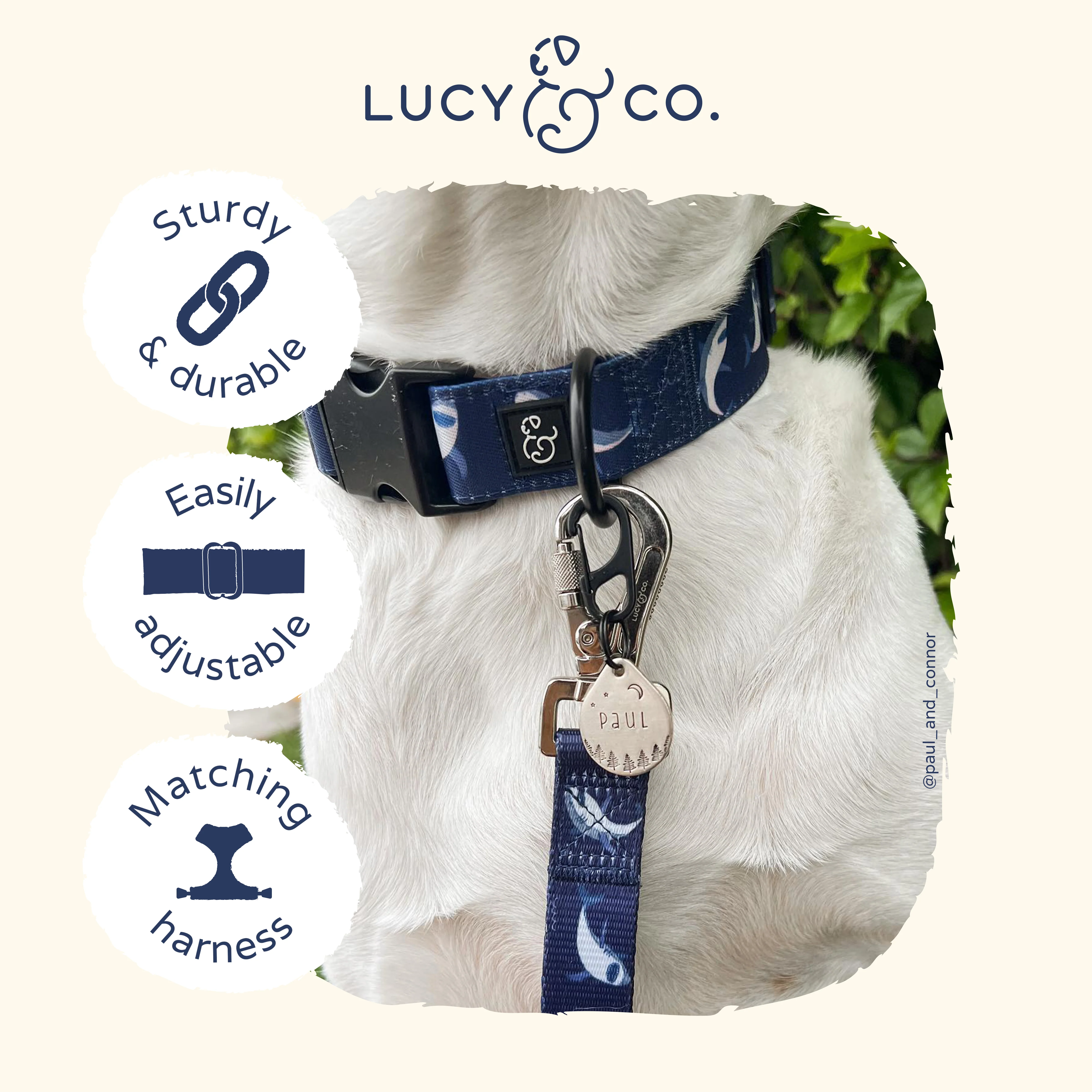 Shark Attack Collar - Image 5