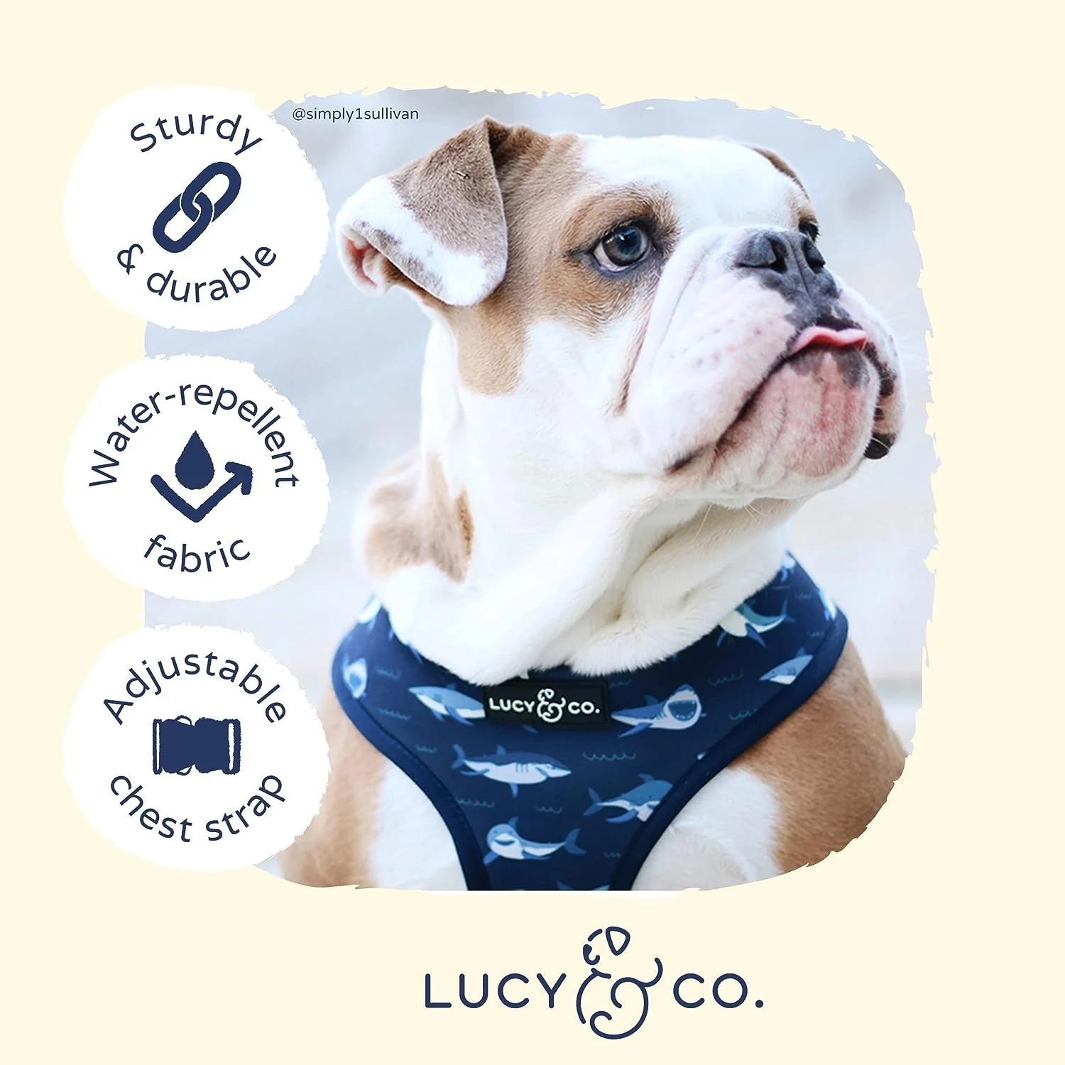 Shark Attack Reversible Harness - Image 7