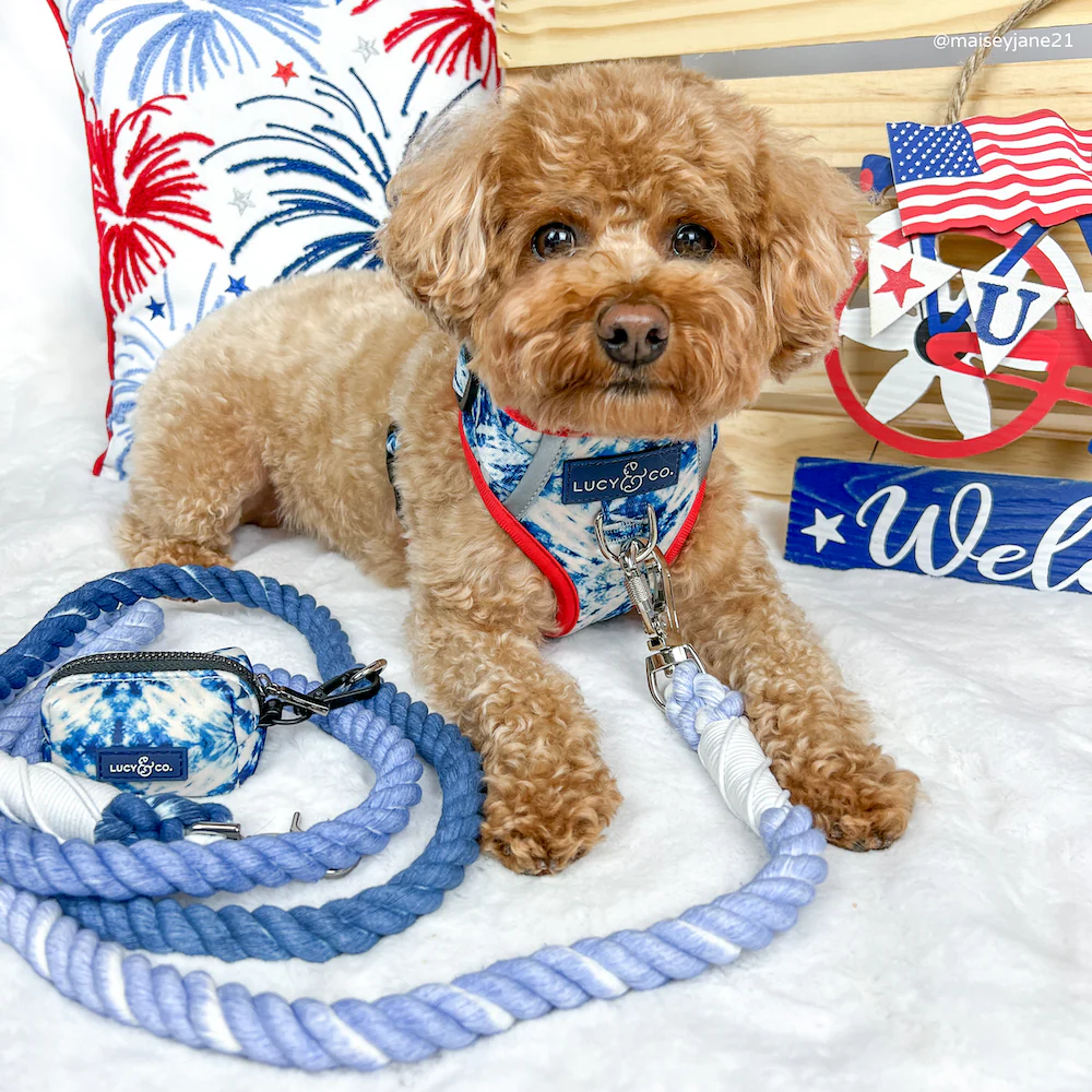 Blueberry Twist Hands-Free Rope Leash - Image 3