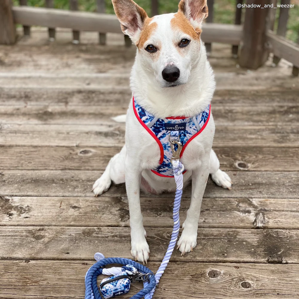 Blueberry Twist Hands-Free Rope Leash - Image 4