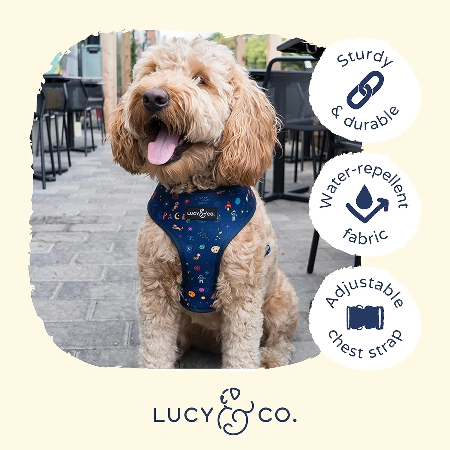 Space Doodle Reversible Harness - Image 6