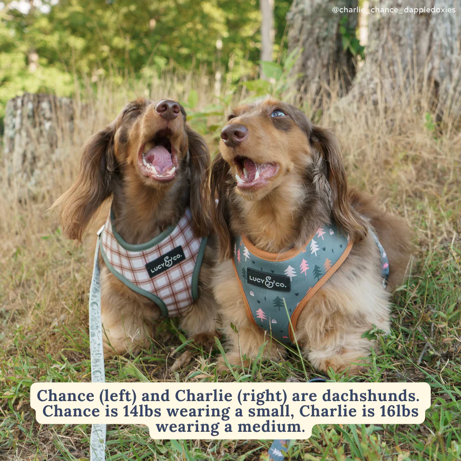 Take a Hike Reversible Harness - Image 10