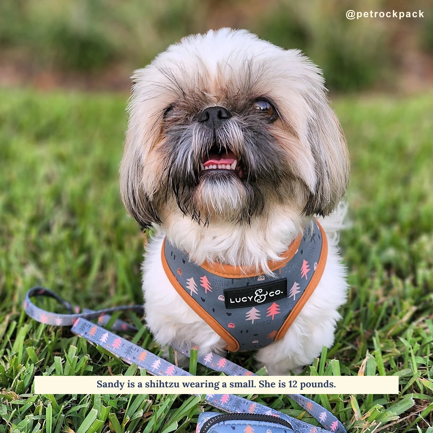 Take a Hike Reversible Harness - Image 3