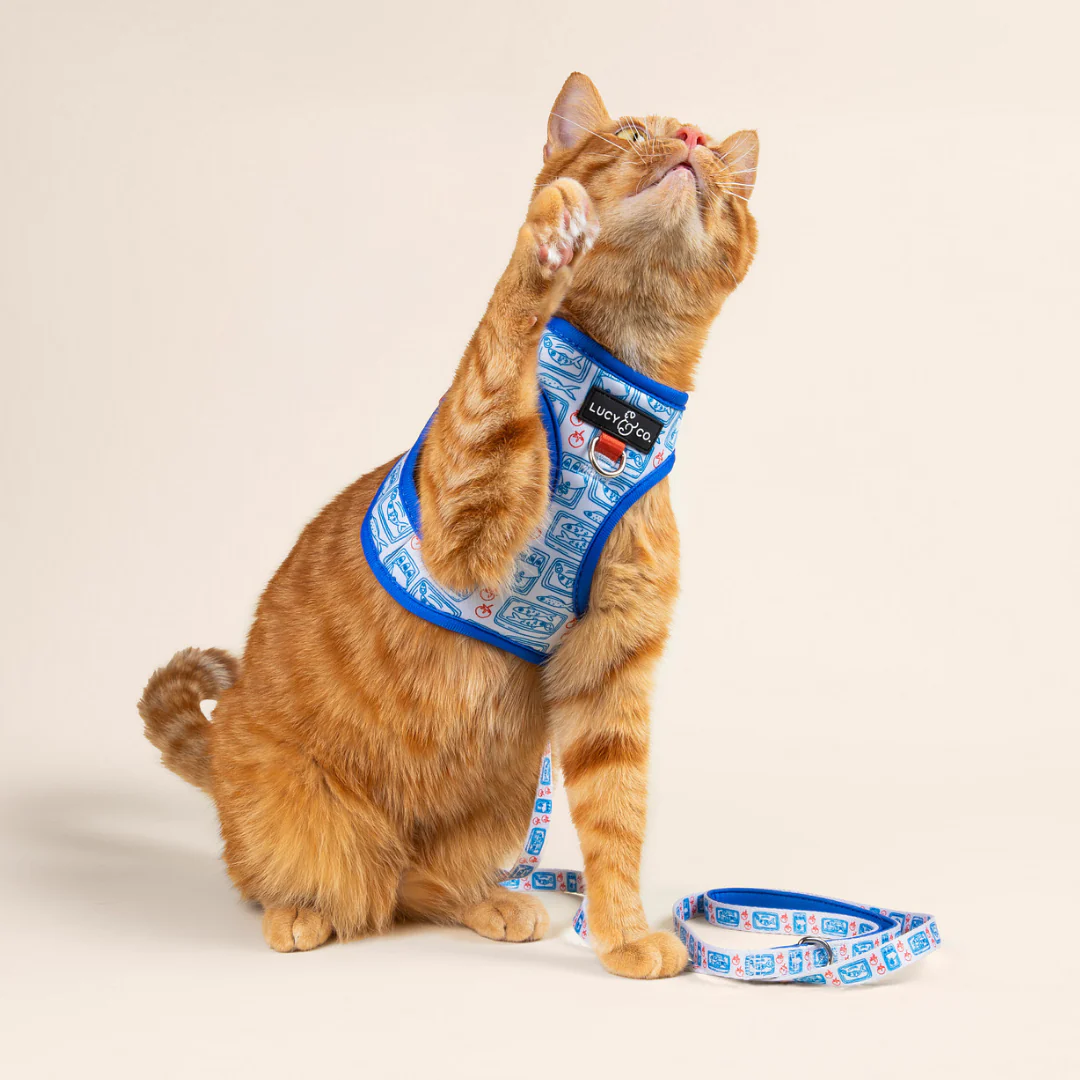 Tinned Fish Step-in Cat Harness - Image 3