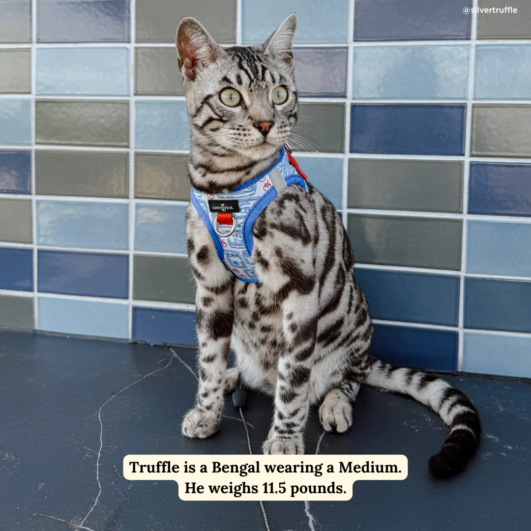 Tinned Fish Step-in Cat Harness - Image 4