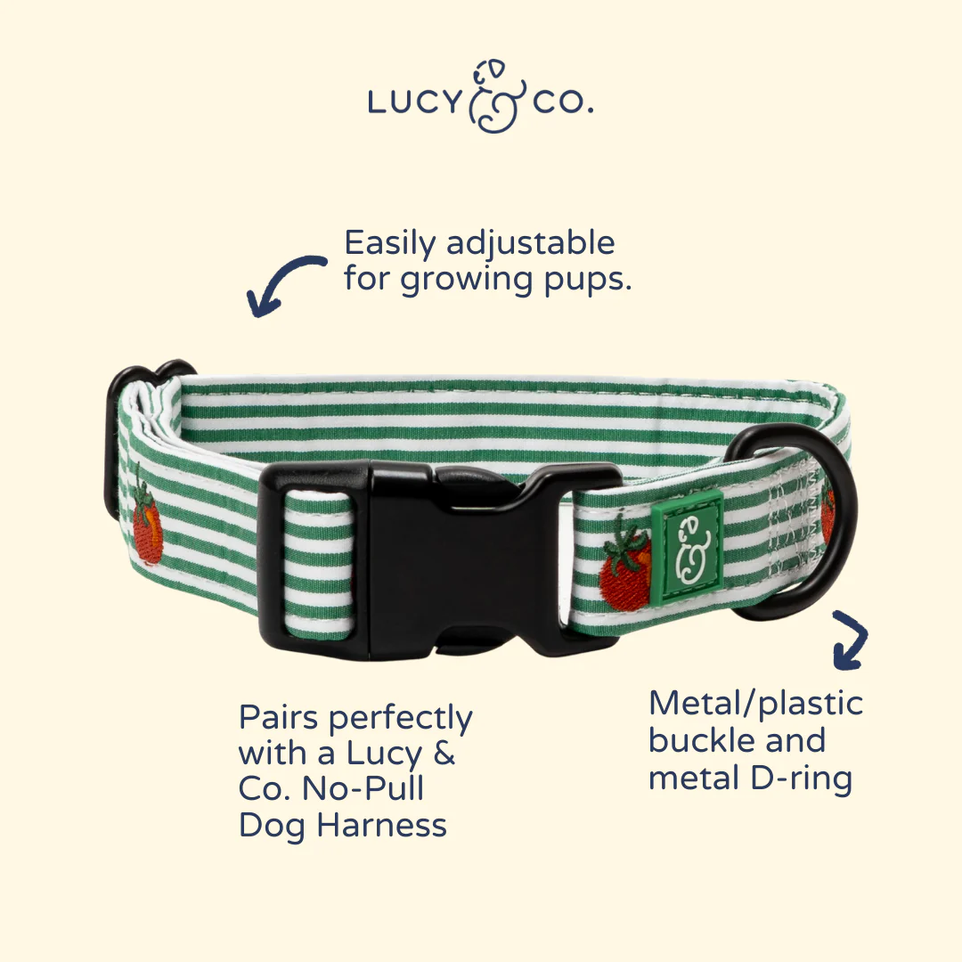 Tomato, Tomahto Embroidered Collar - Image 4