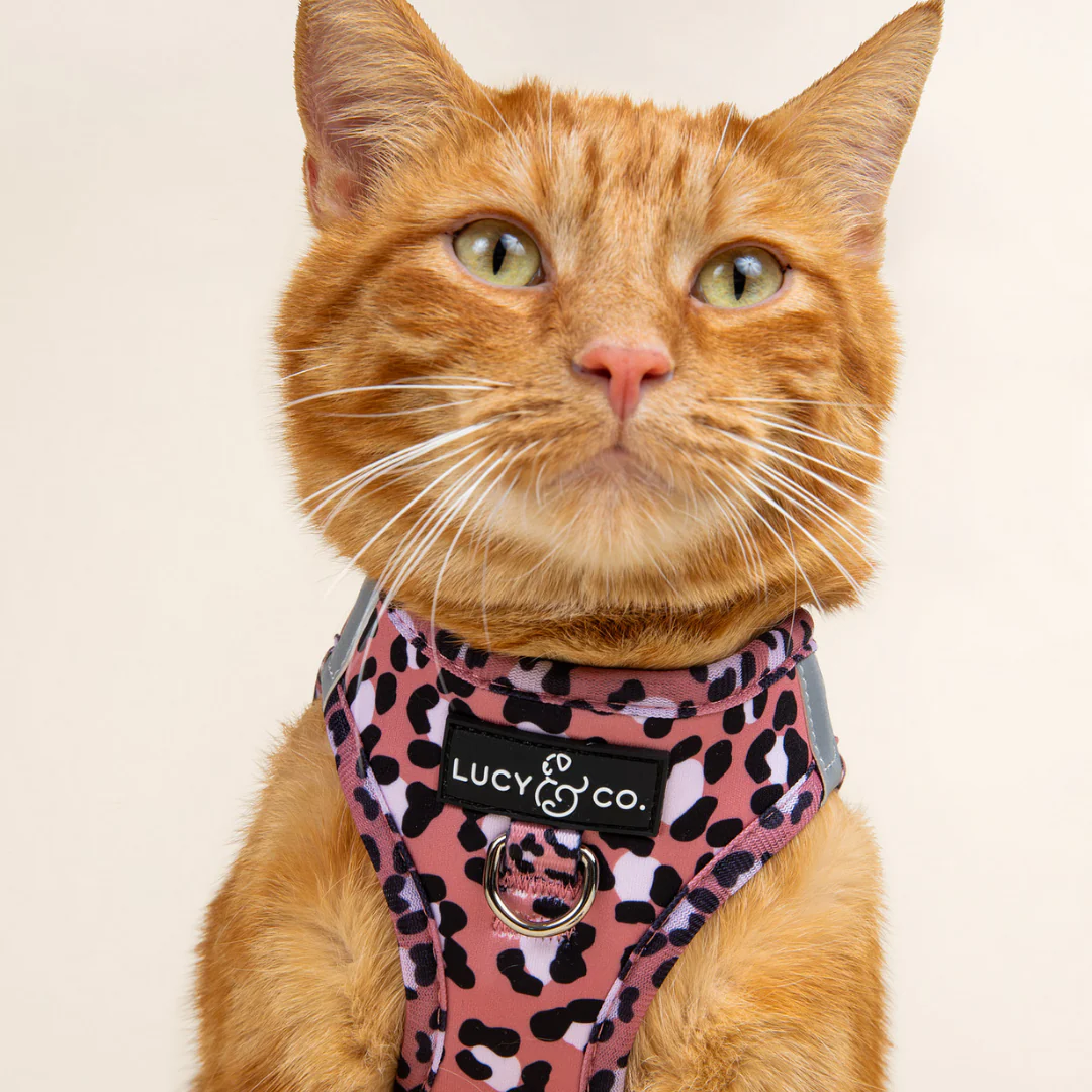 Wild Side Step-in Cat Harness - Image 3