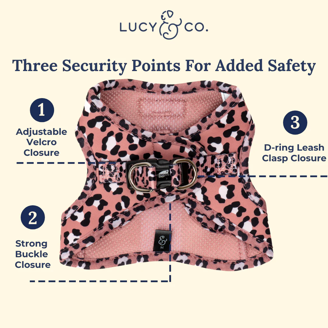 Wild Side Step-in Cat Harness - Image 5